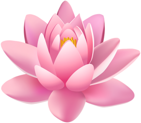 Lotus Flower Drawing HD PNG Download