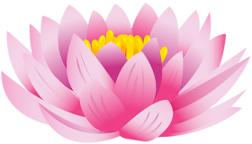 Lotus Flower Drawing HD PNG Download