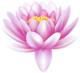 Lotus Flower PNG Images Free Download