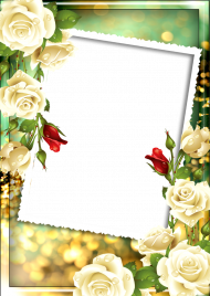 Love Rose Flower Frame Free PNG Download