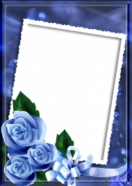 Love Rose Flower Frame PNG Download HD