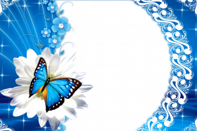 Love Rose Flower Frame PNG Full HD Free