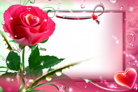 Love Rose Flower Frame PNG HD Download