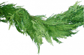 Merry Christmas Garland PNG Free Download