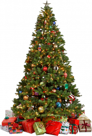 Merry Christmas Tree PNG Images Download