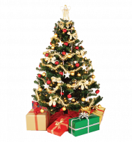 Merry Christmas Tree PNG Images Download