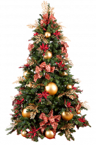 Merry Christmas Tree PNG Images Download