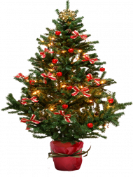 Merry Christmas Tree PNG Images Download Free