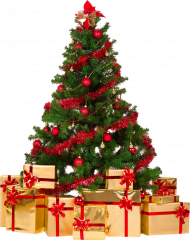 Merry Christmas Tree Png Images Free Download
