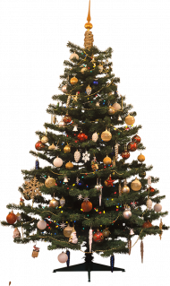 Merry Christmas Tree PNG Transparent Background