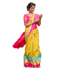 Nisha Guragain PNG Transparent in Saree
