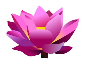 Pink Lotus Flower Clipart Vector PNG Download