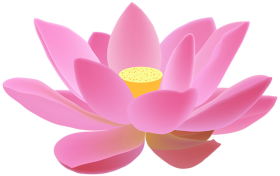 Pink Lotus Flower HD PNG Images Download