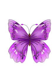 Purple Butterfly PNG Images Download