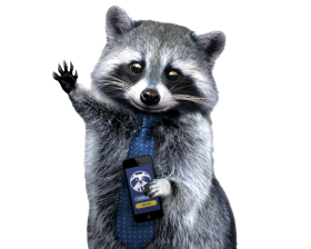 Raccoon PNG Images HD download