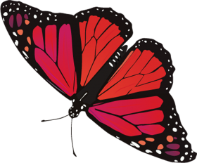 Red Butterfly PNG Images Download HD