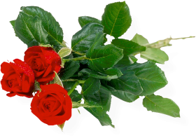 Red Rose Bouquet Flower PNG Images