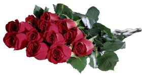 Red Rose Bouquet Flower PNG Images Hd