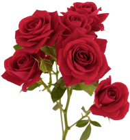 Red Rose Bouquet Flower PNG Transparent
