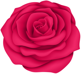 Red Rose Clipart Flower PNG Images Hd