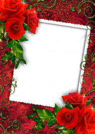 Red Rose Flower Frame PNG Download