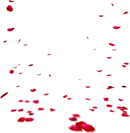 Red Rose Flower Leaf Transparent Png