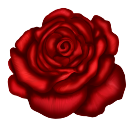 Red Rose Flower PNG Photos Hd