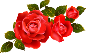 Red Rose Flower Tree HD PNG New