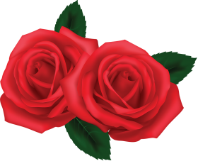 Red Rose Transparent Flower PNG