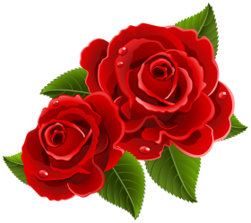 Red Rose Vector Clipart Flower PNG
