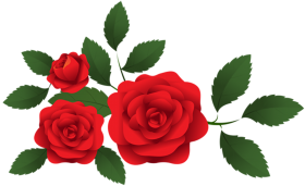 Red Rose Vector Clipart Flower PNG