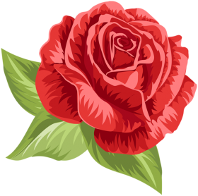 Red Rose Vector Clipart Flower PNG