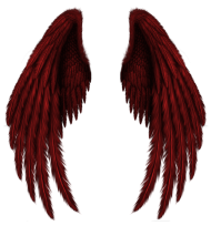 Red Wings PNG image Full HD