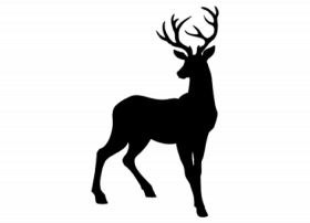 Reindeer PNG Download transparent Background