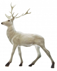 Reindeer PNG Download transparent Background