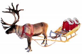 Reindeer PNG Images HD Download Free