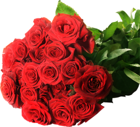 Rose Bouquet Flowers PNG Download