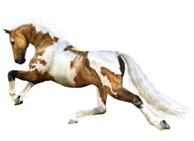 Running Horse Transparent PNG Images