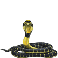 Sitting Cobra Snake PNG Download