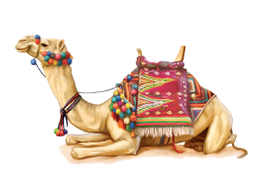 Sitting Vector Camel PNG Images Download