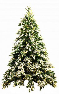 Snow Christmas Tree PNG Images Download Free