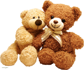 Teddy Bear PNG Images Download New