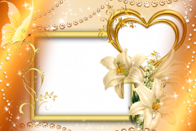 Transparant Love Rose Flower Frame