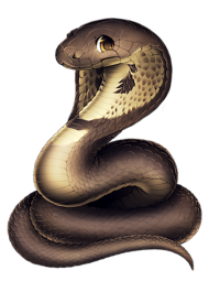 Vector Cobra Snake PNG Download HD
