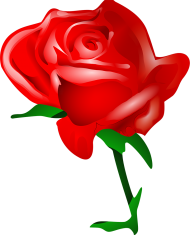 Vector Red Rose Flower PNG Images
