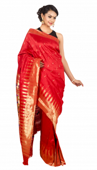 Wedding Saree Model Girl PNG HD