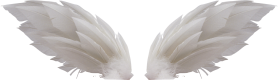 White Wings Transparent Background PNG