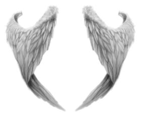 White Wings Transparent PNG Image
