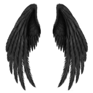 Wings Transparent Download Free PNG