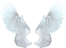 Wings Transparent PNG Image Hd